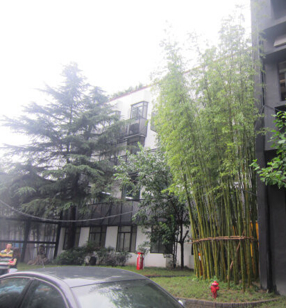 长宁德必易园 (3).jpg